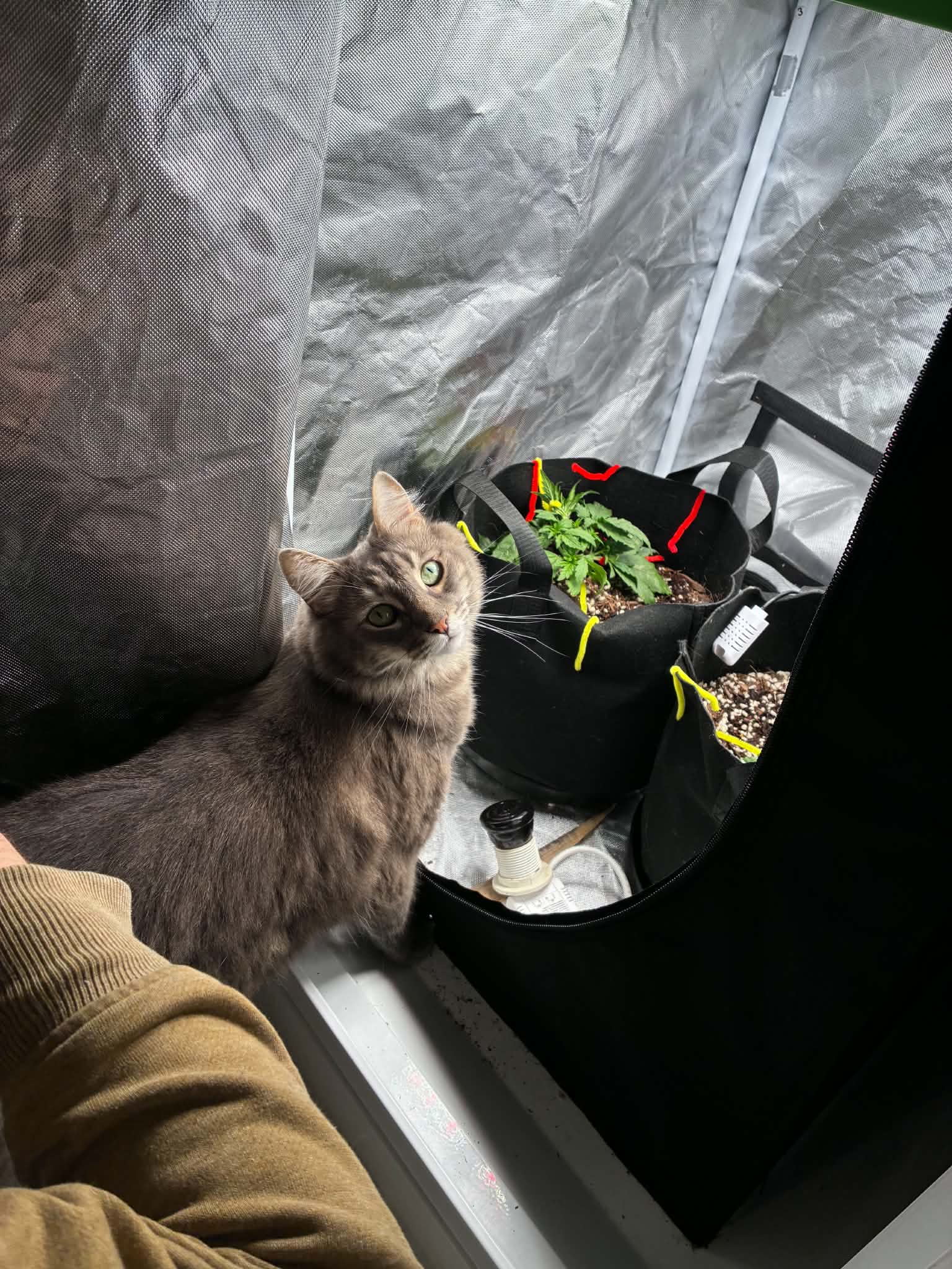 sesh photo